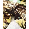 image:imageMens Hawaiian Shirt Summer Beach Casual Short Sleeve Button Down Shirts  Aloha Tropical Print Cuban Collar Relaxed Fit for Vacation Beach Party Luau Cruise Holiday Summer Outdoor WeddingYellow Beach
