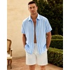 image:imageMens Linen Shirt Striped Short Sleeve Button Down Summer Beach Shirt  Linen Texture Wrinkle Free Breathable Lightweight Shrink Resistant Striped Vintage Summer Travel Wedding Party BusinessLight Blue