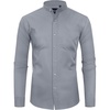 Silver Gray