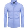 Blue Vlet
